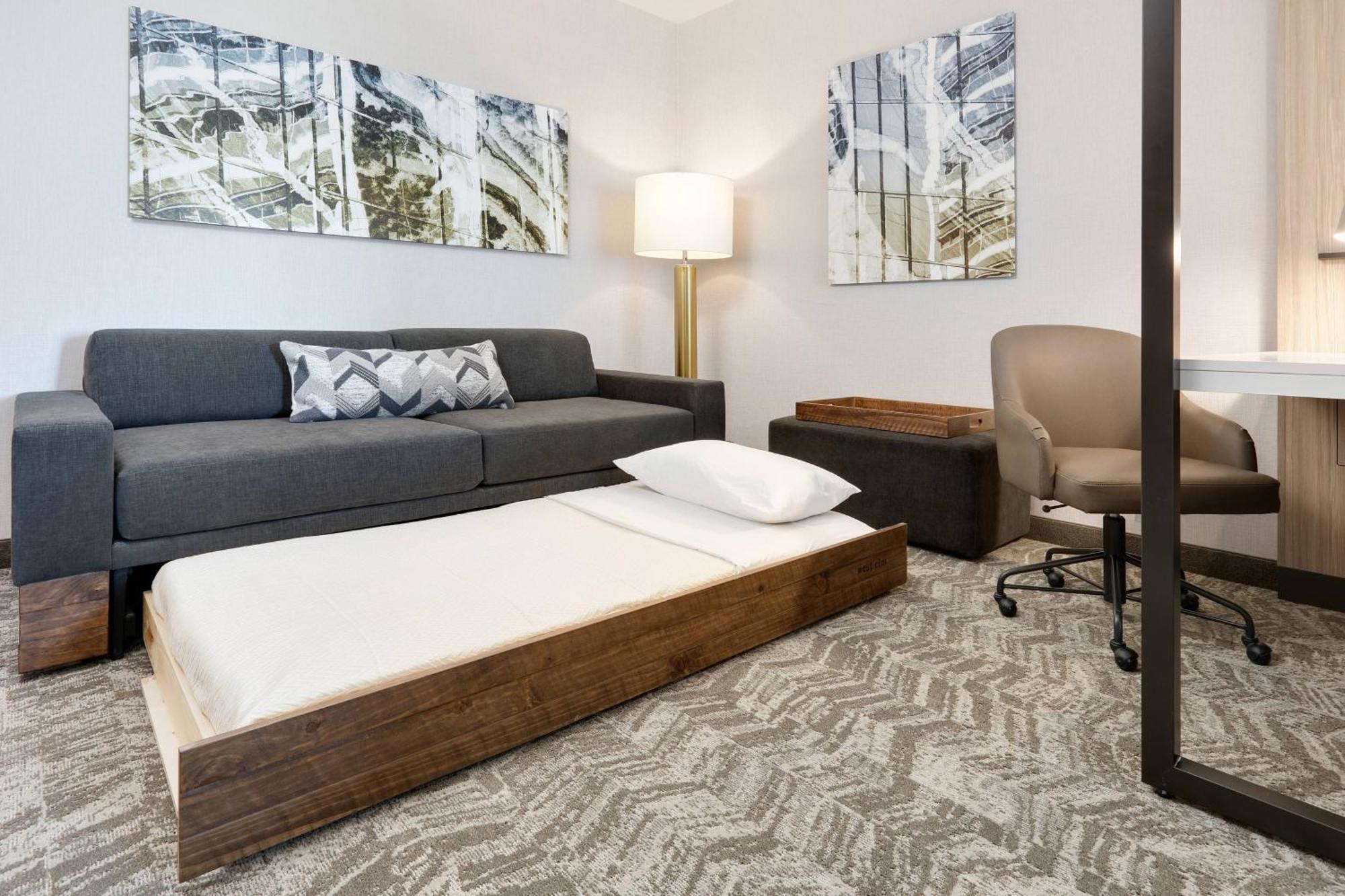 Springhill Suites By Marriott Dallas Mansfield Eksteriør bilde